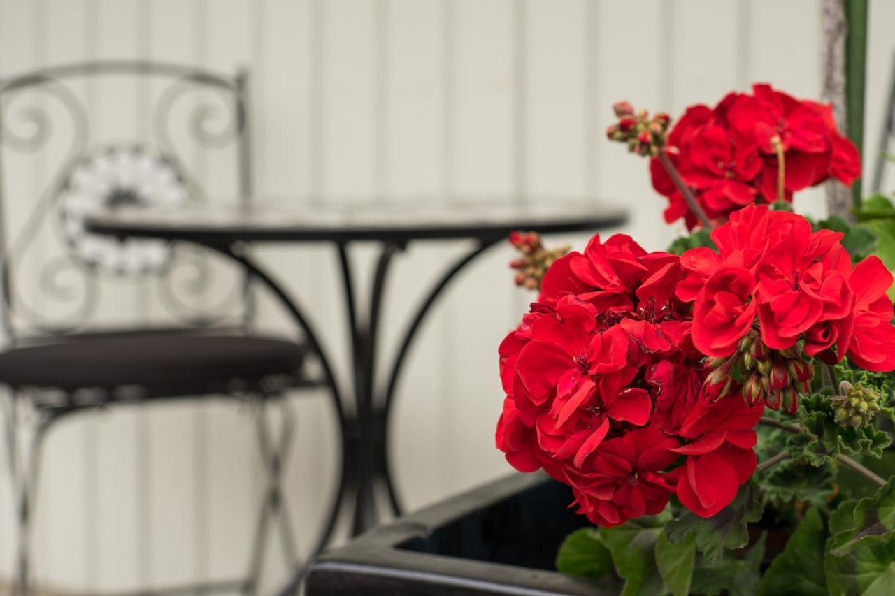 Rosetown Motel Te Awamutu Ngoại thất bức ảnh